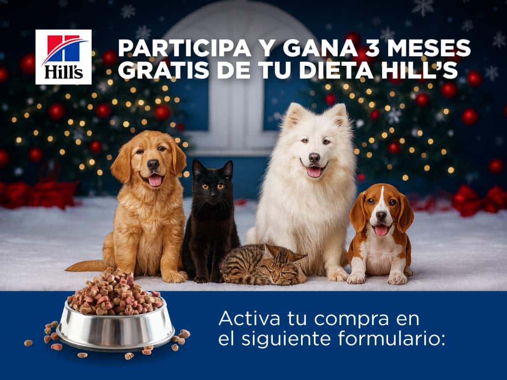 Participa y gana con Hills